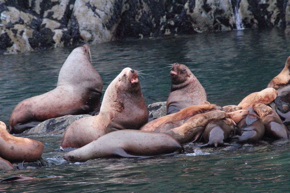 Valdez: 6-Hour Columbia Glacier Cruise - Participant and Date Selection