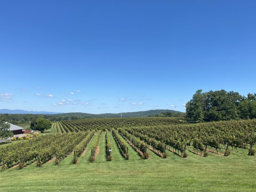 Virginia Wineries Tours: Experience Virginia Wineries - Tour Provider Details