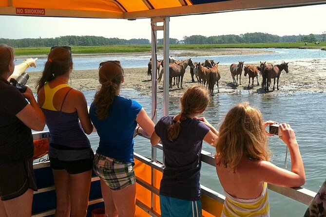 Wild Pony Watching Boat Tour From Chincoteague to Assateague - Tips for a Memorable Tour