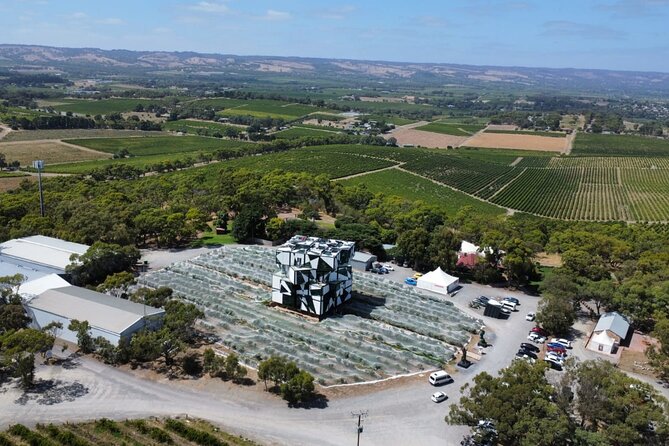 Wine Tasting in McLaren Vale - Cellar Door Tasting Experiences