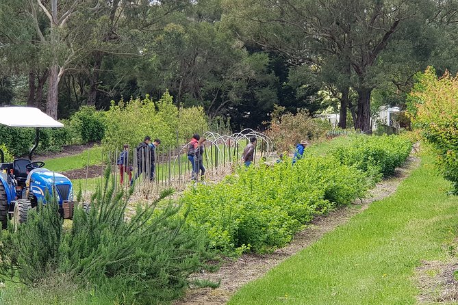 Yarra Valley Wineries and Rayners Orchard Tour From Melbourne - Cancellation Policy