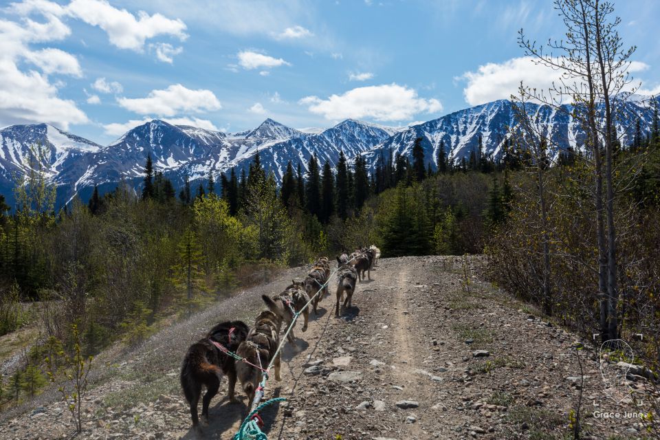 Yukon Dogs and Gold - Customer Reviews