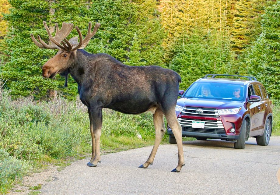 3/4 Day RMNP Mtn to Sky+Bear Lake Rd Tour-RMNPhotographer - Common questions