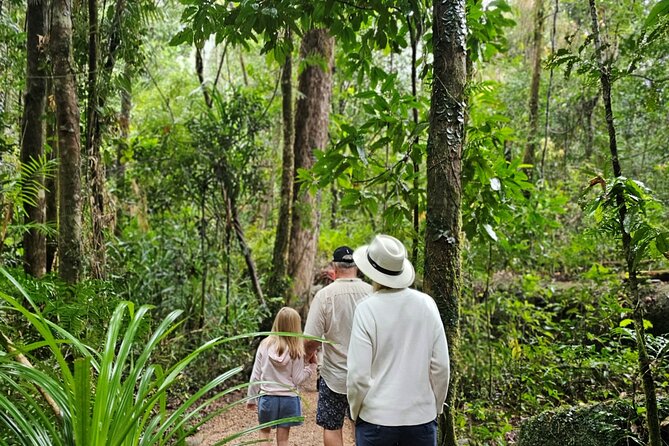 3B Daintree Rainforest, Mossman Gorge, Crocodile Wildlife Cruise - Sum Up