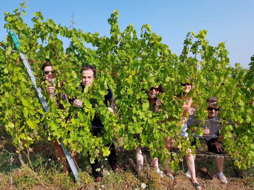 Alsace: Private Wine Tour