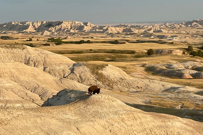 Badlands National Park Private Tour From Rapid City - Booking Process
