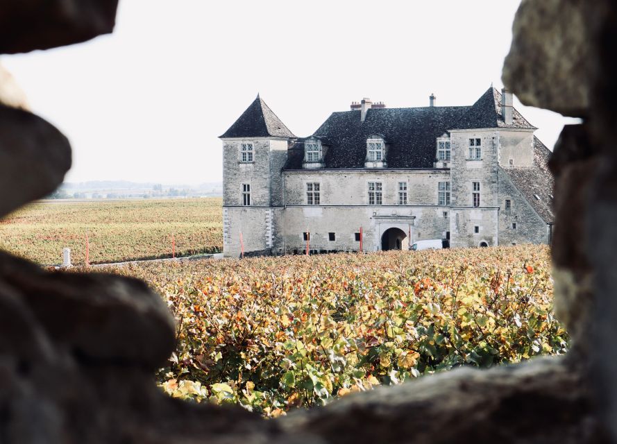 Côte De Beaune and Côte De Nuits : Private Full Day Winetour - Cancellation Policy