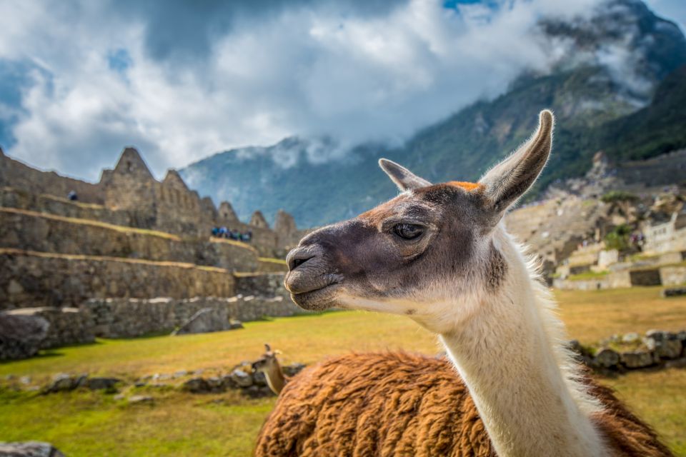 Cusco: Machu Picchu Tour With Tickets - Common questions