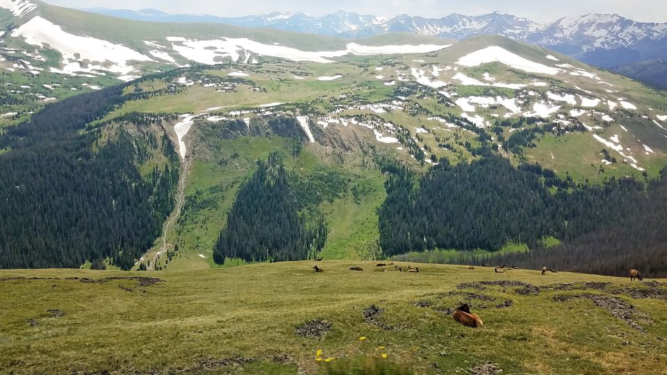 Denver: Rocky Mountain National Park Tour With Picnic Lunch - What to Bring and Lunch Options