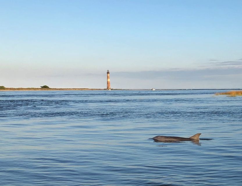 Dolphin Sighting & Shelling Cruise to Historic Morris Island - Common questions