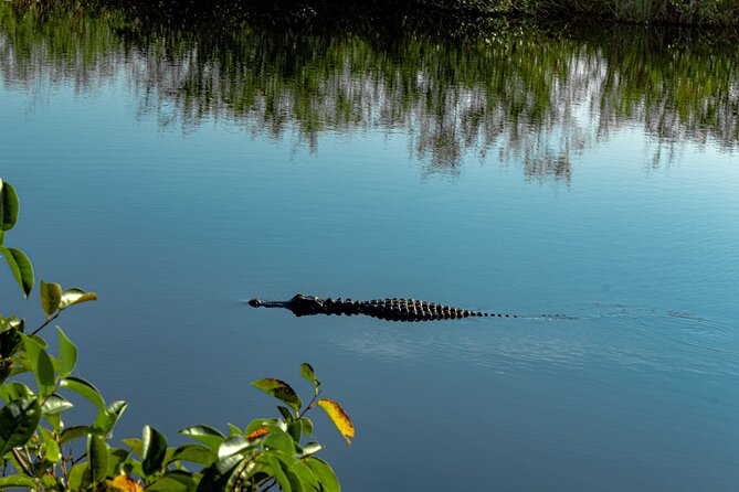 Everglades Airboat, Wildlife Experience With Roundtrip Transfer - Booking Details and Experience Overview