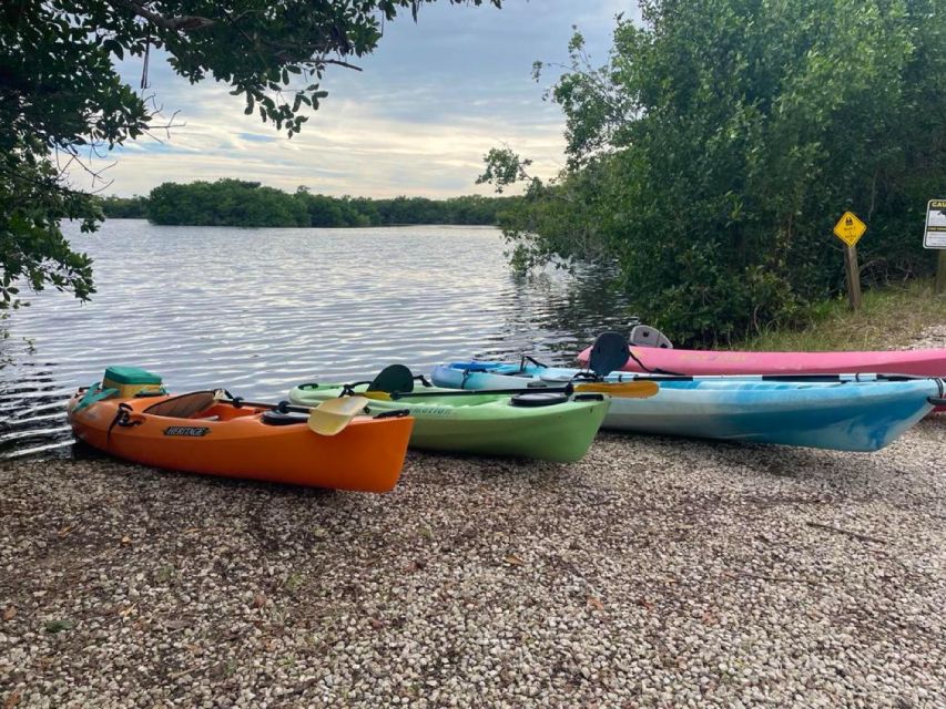 Everglades Kayak Eco Tour - Key Points