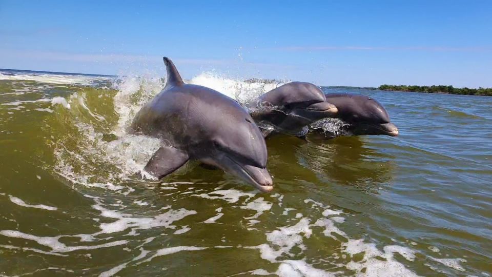 Everglades National Park: Motorboat Eco Tour - Directions