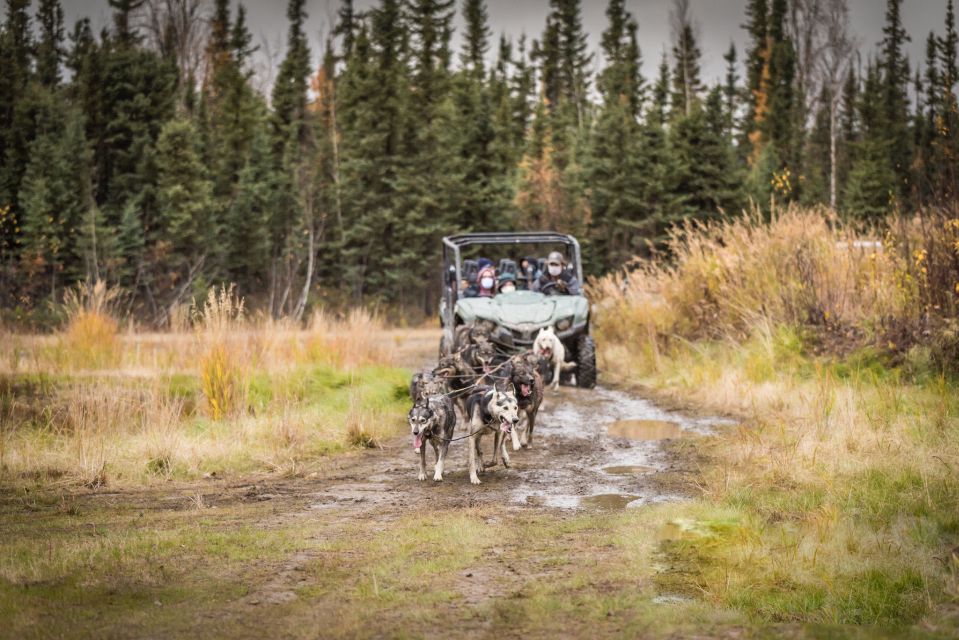 Fairbanks: Fall Cart Adventure Pulled by a Sled Dog - Common questions