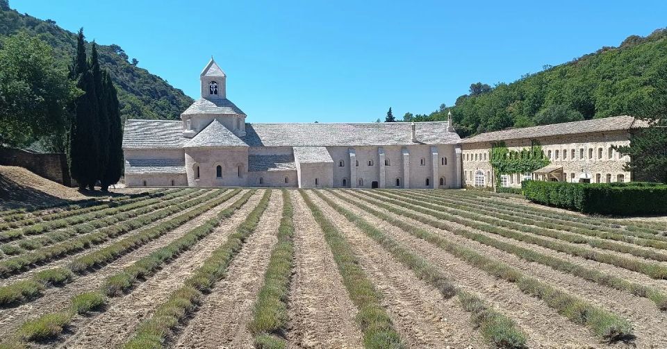 From Aix-en-Provence: Luberon Park Lavender Season Tour - Meeting Point and What to Bring