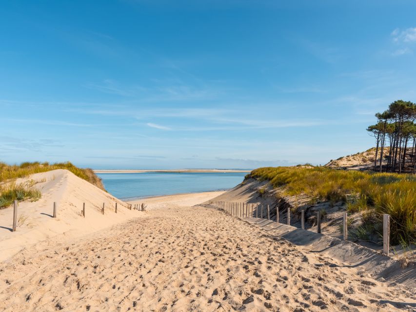 From Bordeaux: Arcachon and Pilat Dune Private Tour - Common questions