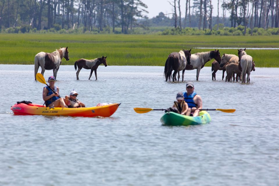 From Chincoteague: Guided Kayak Tour to Assateague Island - Safety Guidelines