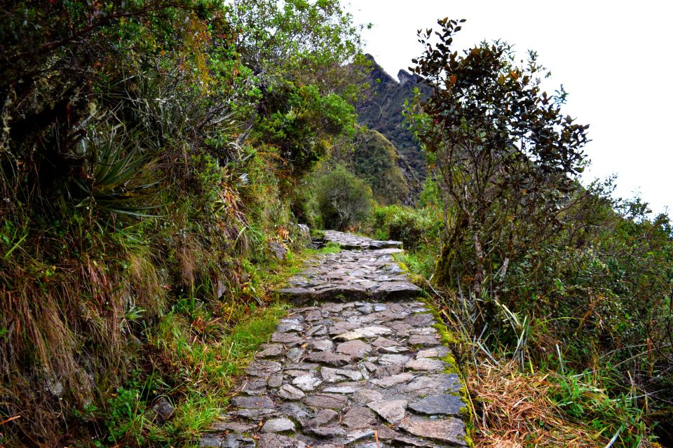 From Cusco: 7-Day Trek to Machu Picchu Through Inca Trail - Important Policies and Booking Information