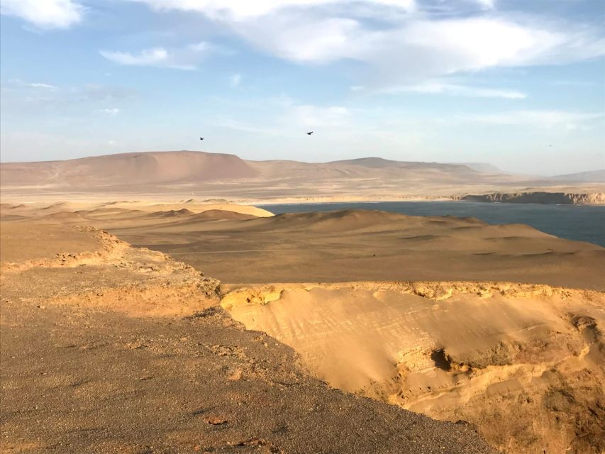 From Lima: Ballestas Island and Paracas Reserve Private Tour - Directions