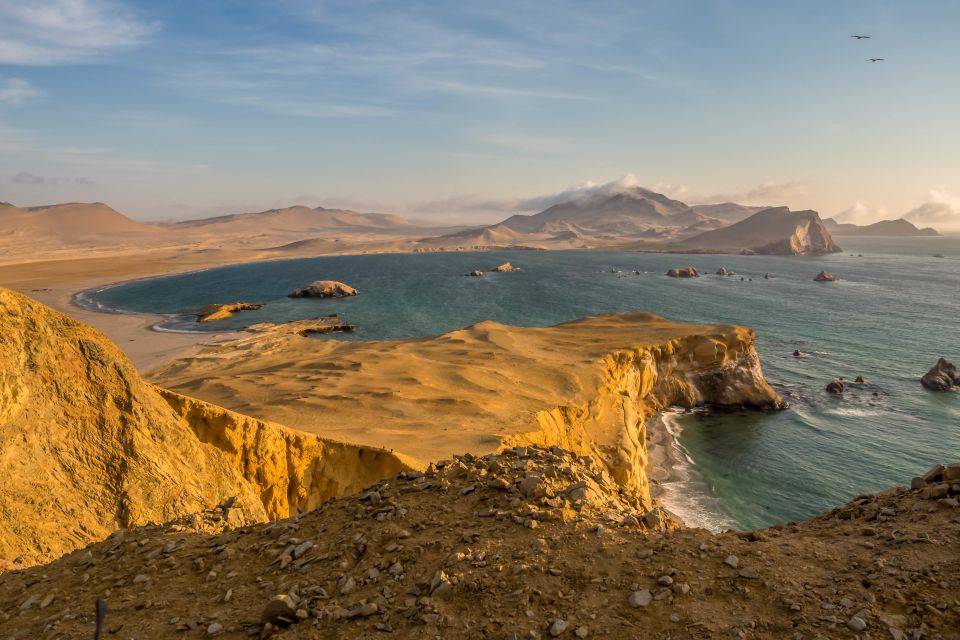 From Lima: Ballestas Island & Huacachina Oasis Private Tour - Traveler Types