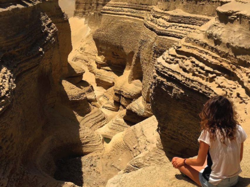 From Paracas/Ica: Canyon of the Lost Guided Day Trip - Sum Up