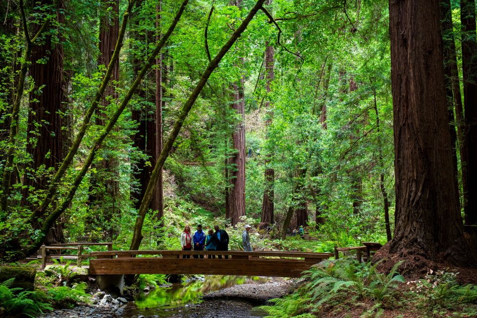 From San Francisco: Muir Woods Redwood Forest Tour - Common questions