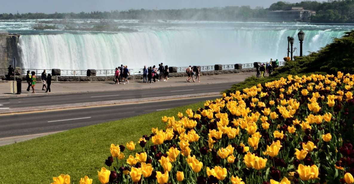 From Toronto: Niagara Falls Day Trip - Sum Up