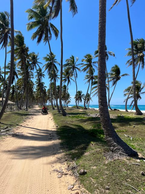 Full Day Safari Experience and Buggies From Punta Cana - Sum Up