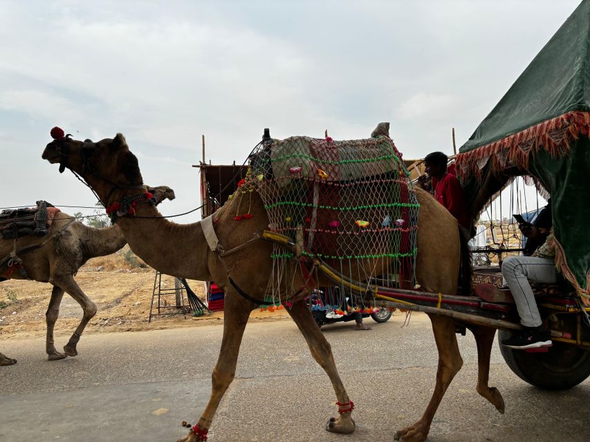 Golden Triangle Tour Pushkar & Jodhpur By Car 7 Nights 8 Day - Discover Pushkar and Drive to Jodhpur