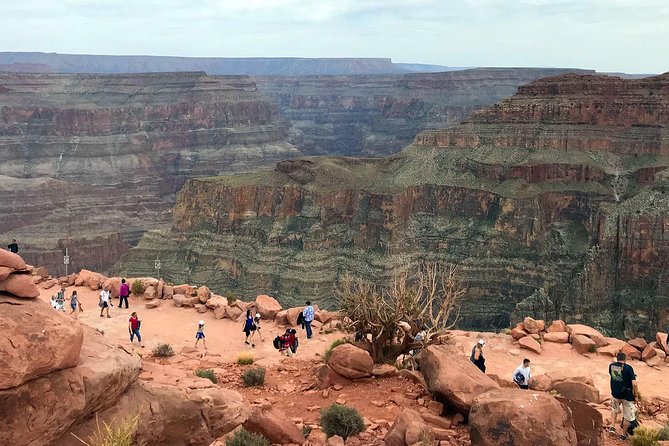 Grand Canyon West Skywalk Western Ranch Joshua Tree Forest SmGrp - Traveler Reviews and Ratings