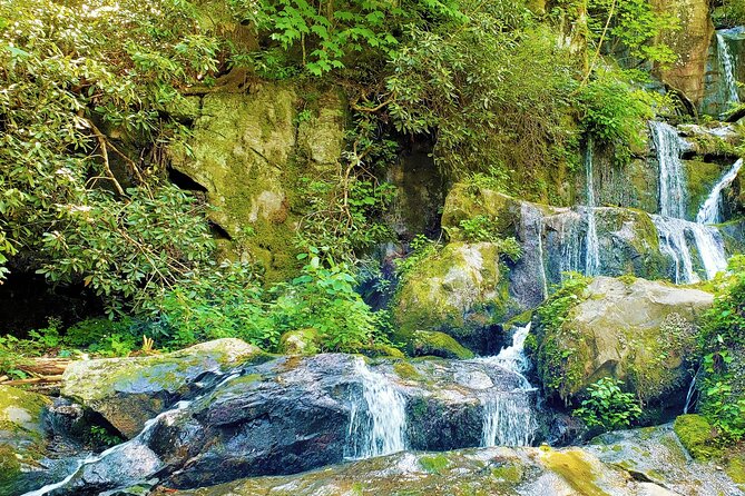 Great Smoky Mountains National Park and Cades Cove Self-Driving Bundle Tours - Cancellation Policy