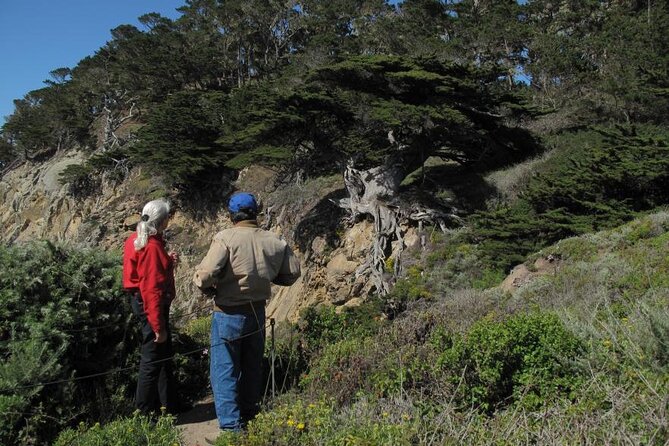 Guided 2-Hour Point Lobos Nature Walk - History Insights