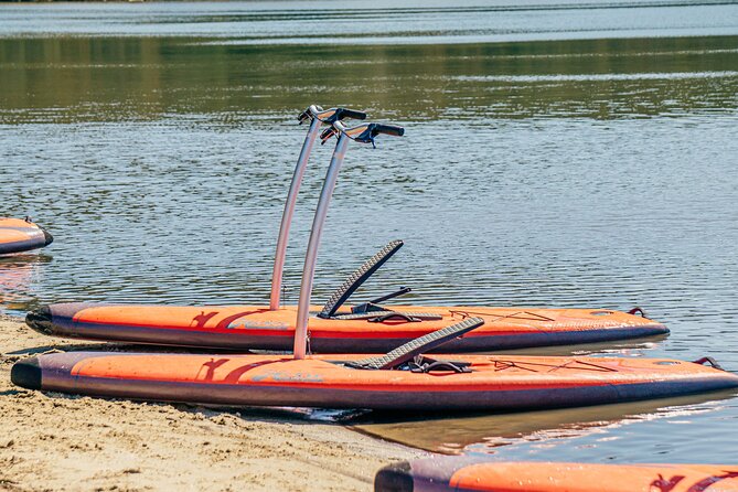 Guided Step-Up Paddle Board Tour of Narrabeen Lagoon - Common questions