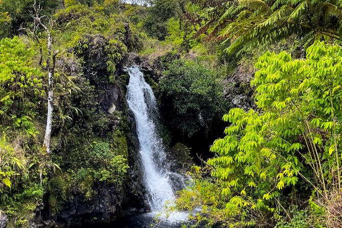 Half Day Private VIP Road to Hana Tour - Sum Up