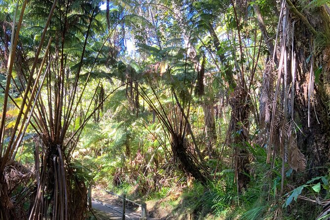 Hawaiis Volcanoes National Park From Hilo Only - Highlights of the Tour & Attractions