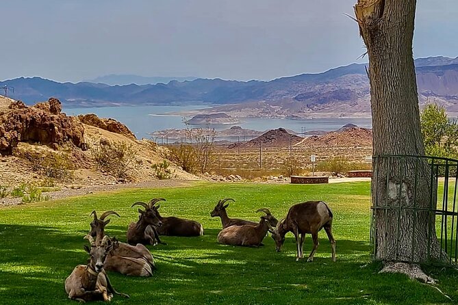 Hoover Dam: Historic Railroad Trail Guided E-Bike Tour  - Las Vegas - Sum Up