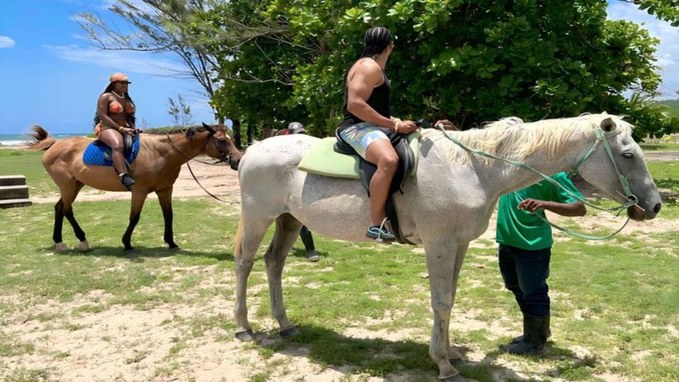 Horseback Ride N Swim in Montego Bay - Experience Highlights