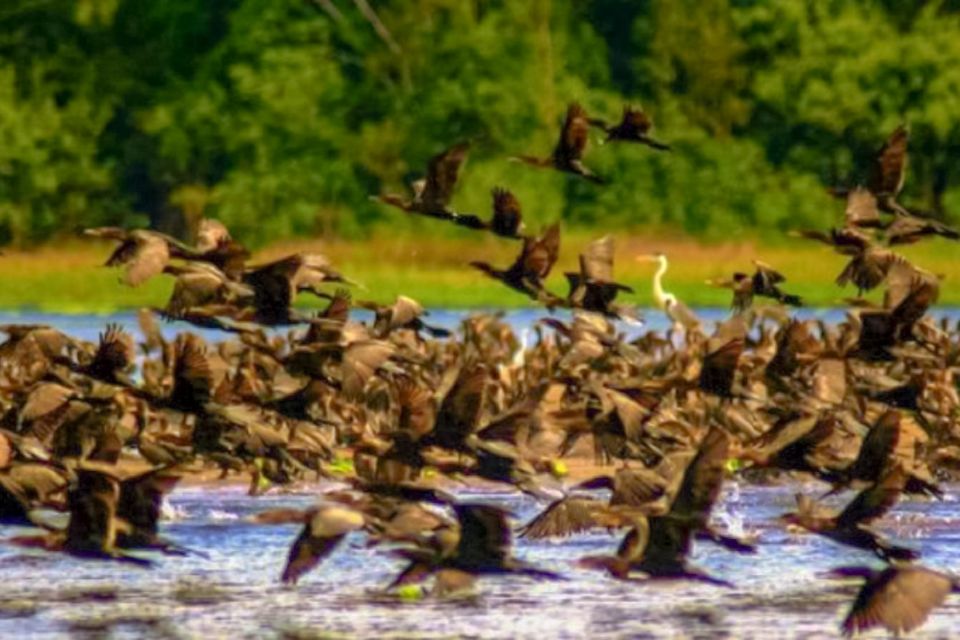 Iquitos: Amazon River Full Day Guided Tour - Sum Up