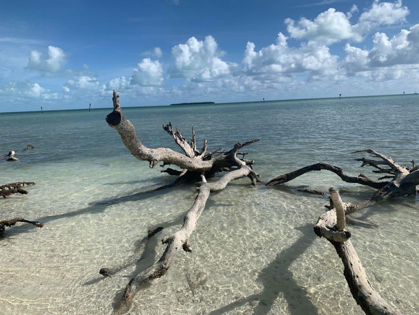 Islamorada: Guided Tour With Local Highlights - Booking Details