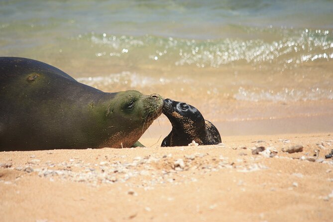 Kauai East Side and North Shore Private Guided Tour - Common questions