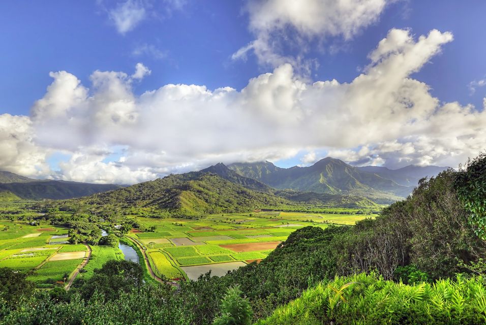 Kauai: Movie Locations Tour - Exclusive Access to Coco Palms Resort