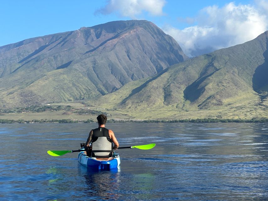 Kayak, Whale Watch And Snorkel At Turtle Town - Customer Reviews