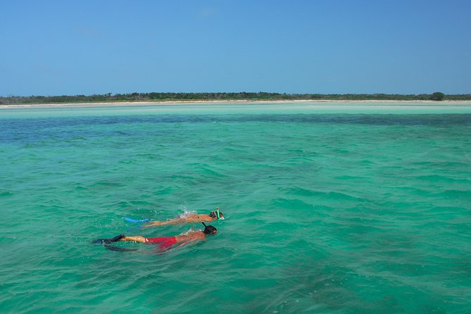 Key West Coral Reef Snorkel Adventure With Mimosas or Margaritas - Sum Up