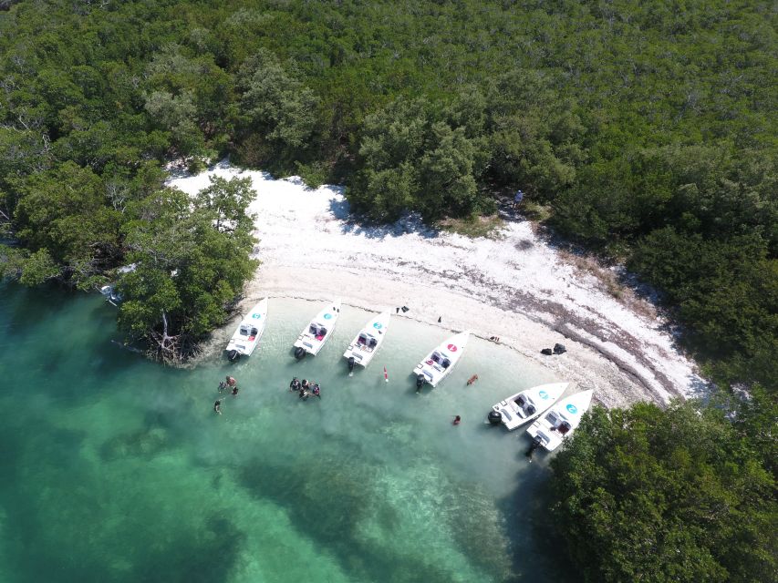 Key West: Eco Safari Tour With Snorkeling - Sum Up