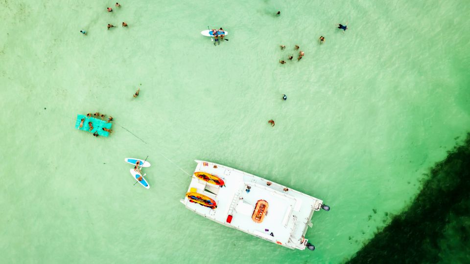 Key West Sandbar Excursion & Dolphin Tour Includes Beer Wine - Sum Up