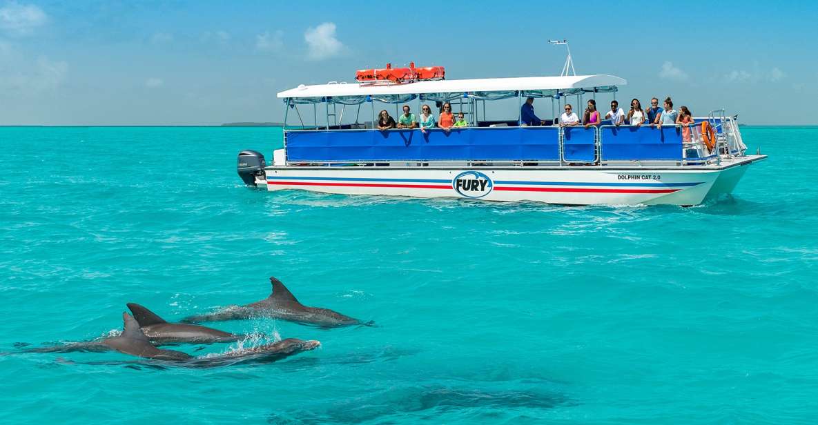 Key West: Search for Dolphins on a Cruise With Snorkeling - Common questions