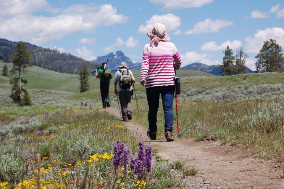 Lamar Valley: Safari Hiking Tour With Lunch - Common questions