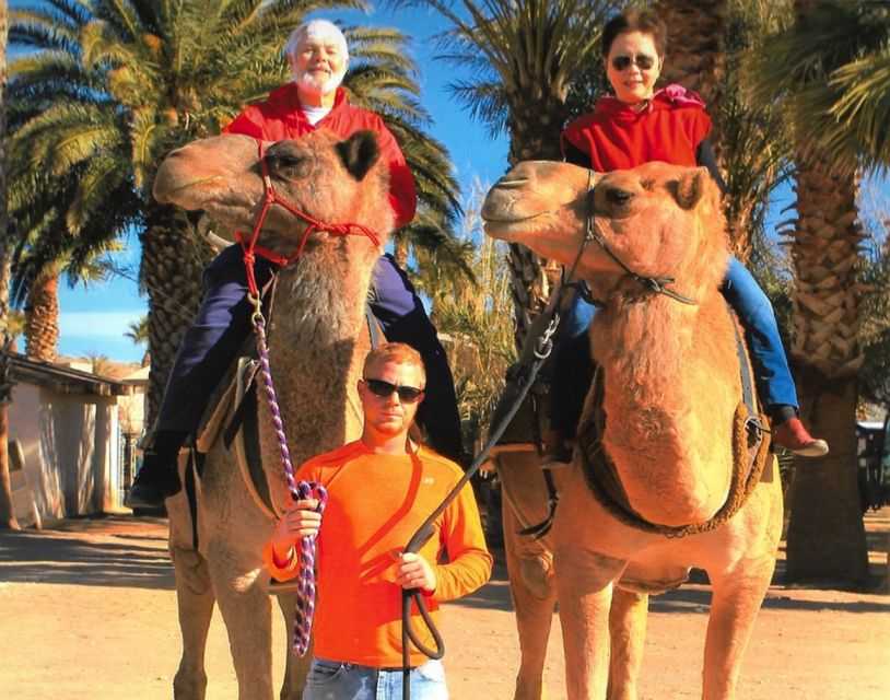 Las Vegas: Desert Camel Ride - Booking and Reservation