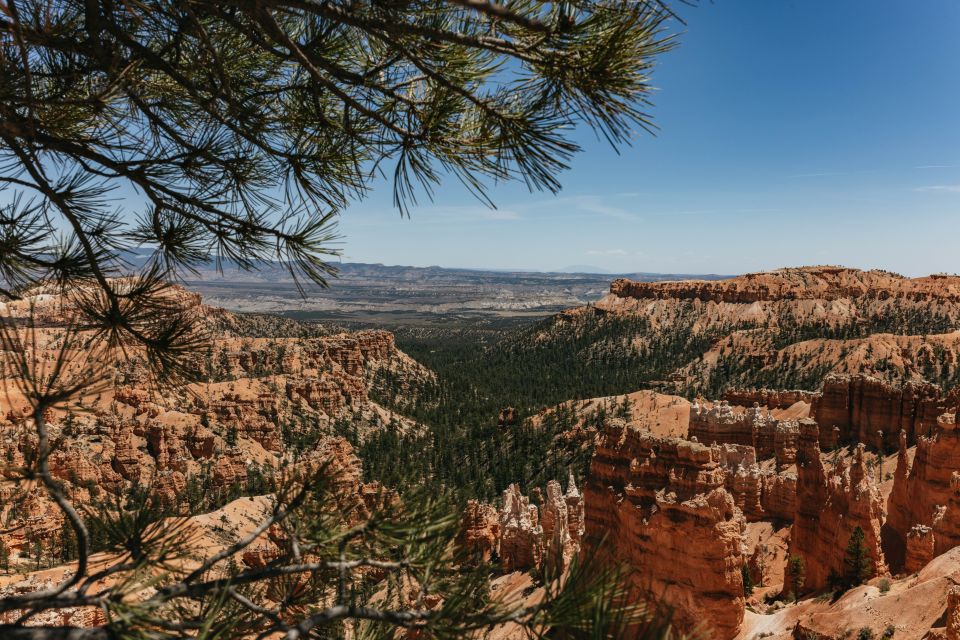 Las Vegas: Discover Bryce and Zion National Parks With Lunch - Common questions