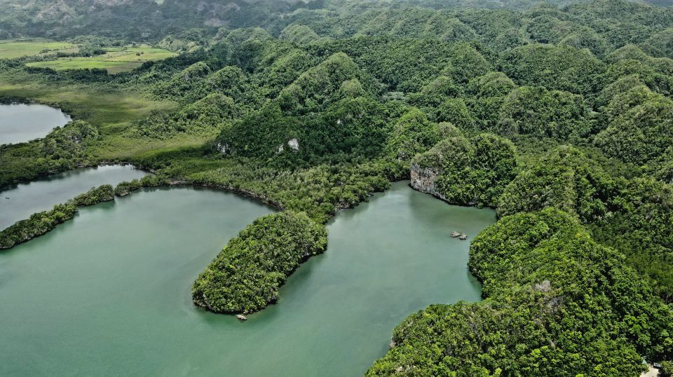 Los Haitises: Boat Excursion and Walking Tour With Lunch - Private Group Option